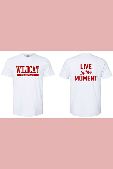 FANS- FHS Volleyball 2025