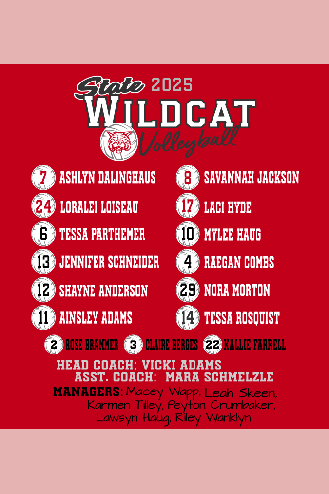 FHS Volleyball State Bound 2025